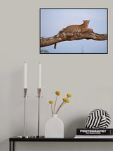 The Prince Poster och Canvastavla