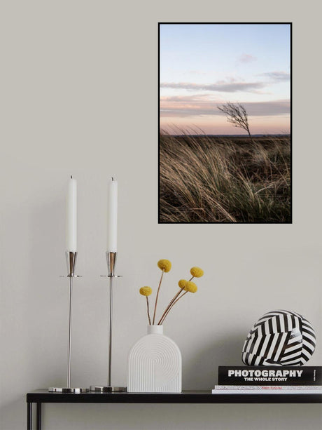 At the Coast 4 Poster och Canvastavla