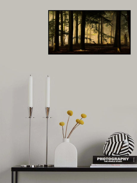 backlight Poster och Canvastavla