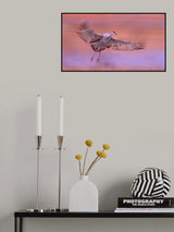 Land in the Dreams Poster och Canvastavla