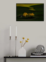 Farmhouse at Sunset Poster och Canvastavla