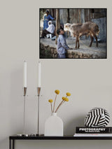A kiss in need..... Poster och Canvastavla
