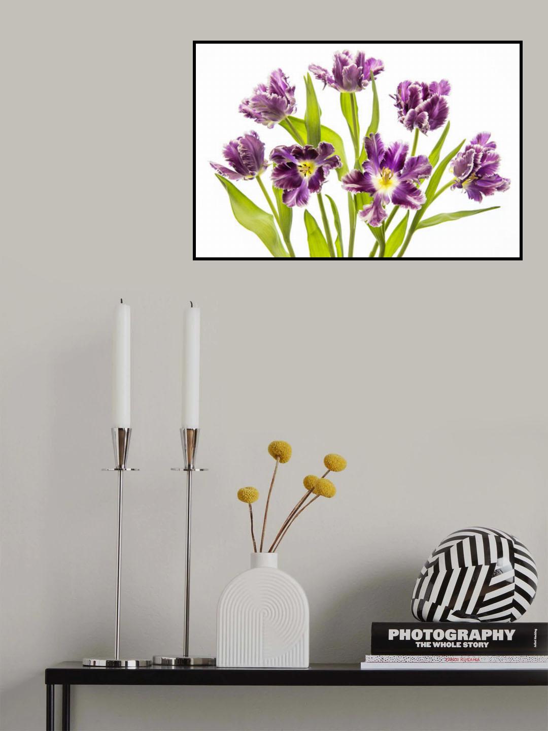 Vibrant Spring Poster och Canvastavla