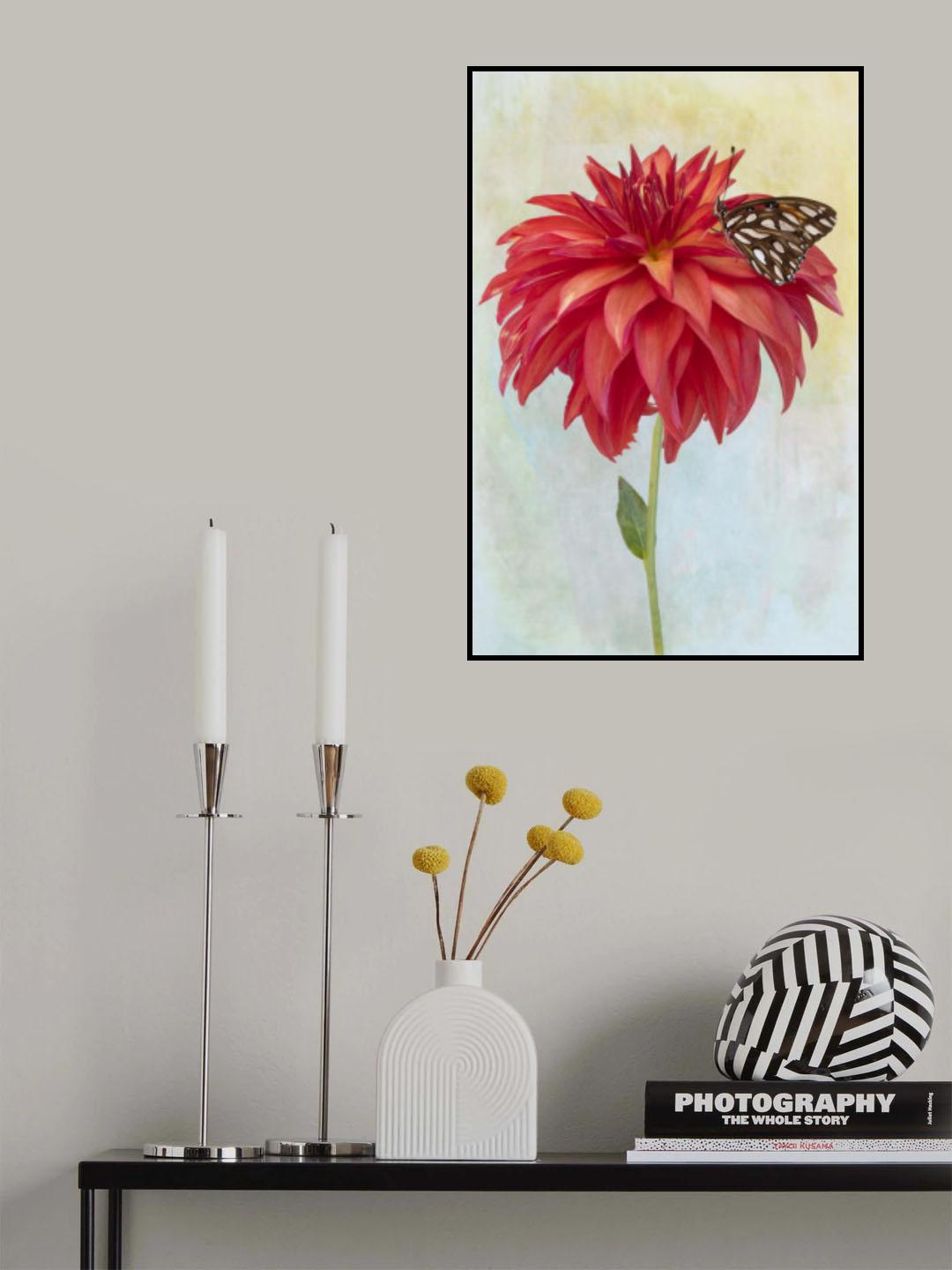 Dahlia Bloom and a Butterfly Poster och Canvastavla