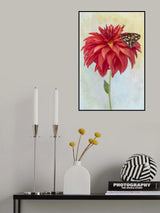 Dahlia Bloom and a Butterfly Poster och Canvastavla