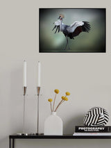 top model in the photos studio     .... Poster och Canvastavla