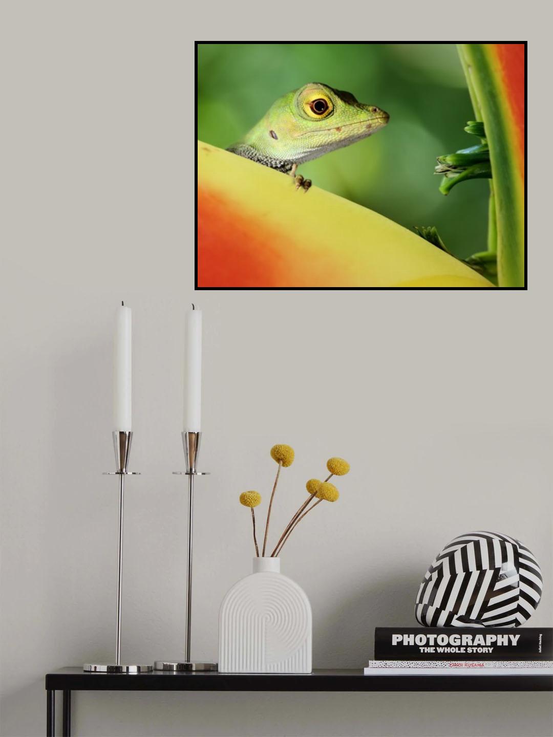 Anolida lizard Poster och Canvastavla