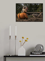 I am not sharing! Poster och Canvastavla