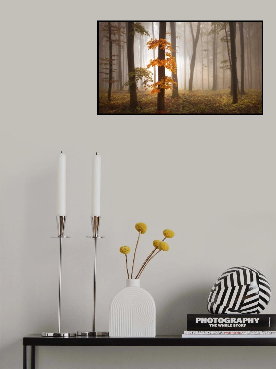 In November Light Poster och Canvastavla