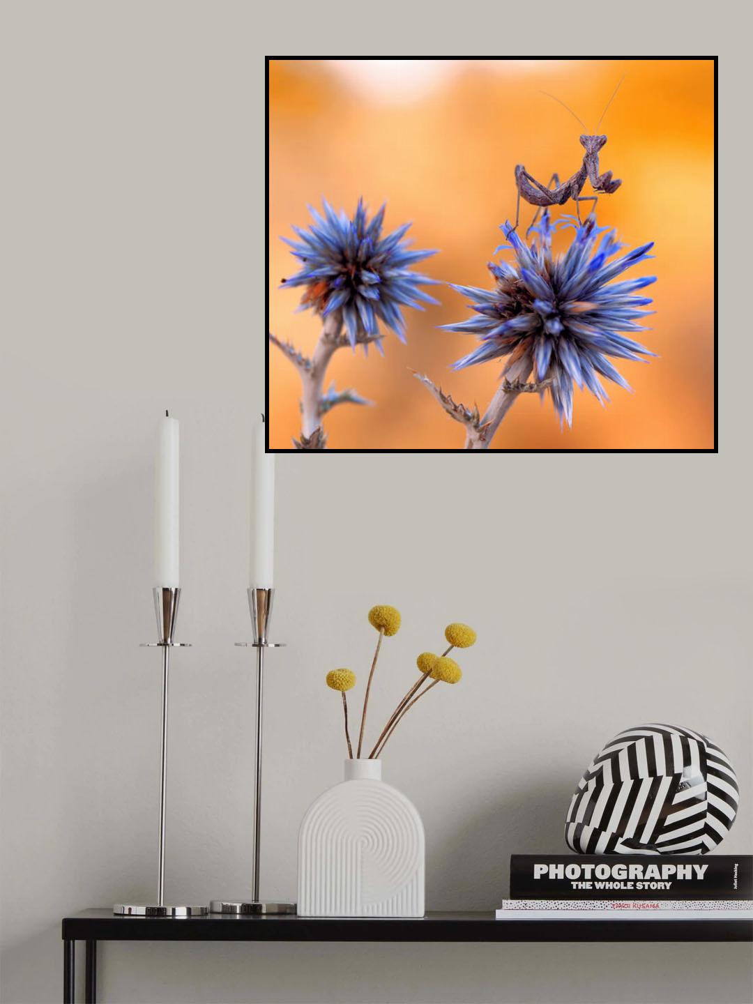 Watcher on the blue tower... Poster och Canvastavla