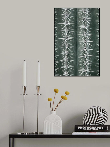 Cactus green Poster och Canvastavla