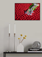 Sea of red Poster och Canvastavla