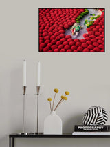 Sea of red Poster och Canvastavla