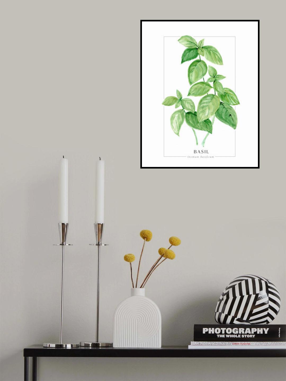 Basil II Poster