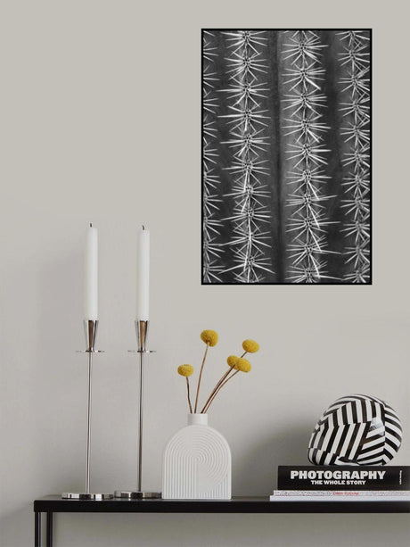 Cactus black and white Poster och Canvastavla