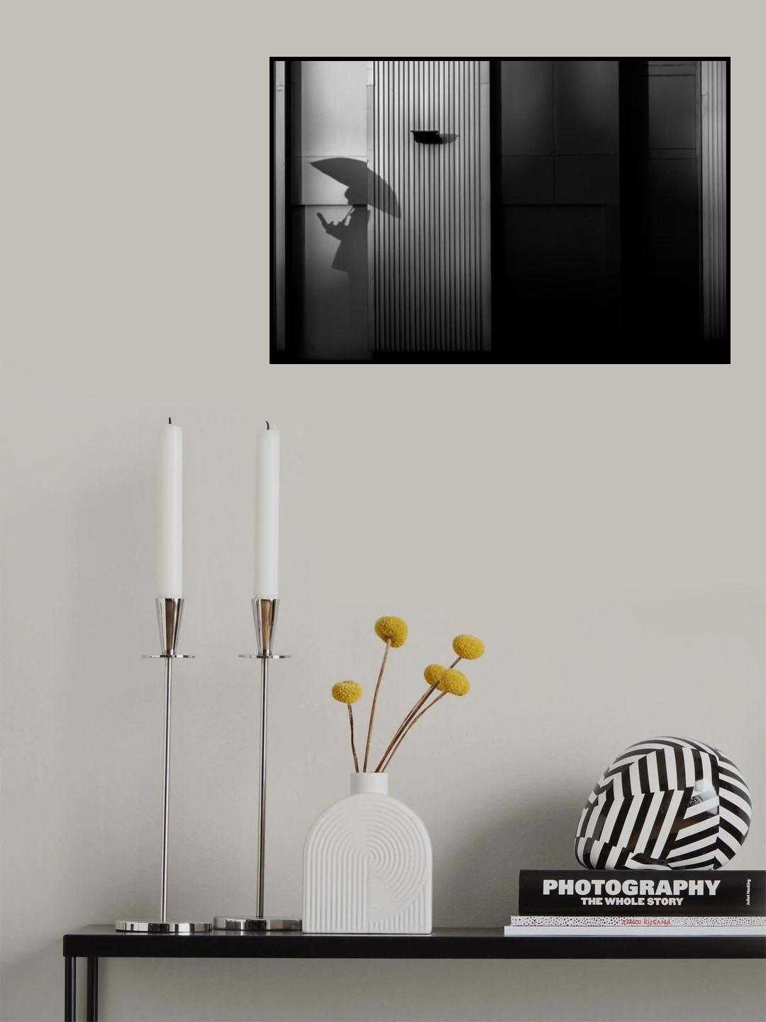 The shadow side Poster och Canvastavla