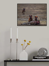 Poster och Canvastavla