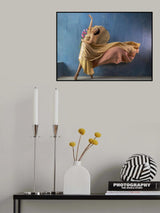 Balerina Poster och Canvastavla