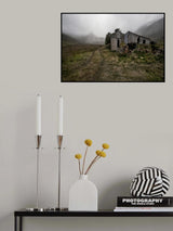 Bleak Decay Poster och Canvastavla