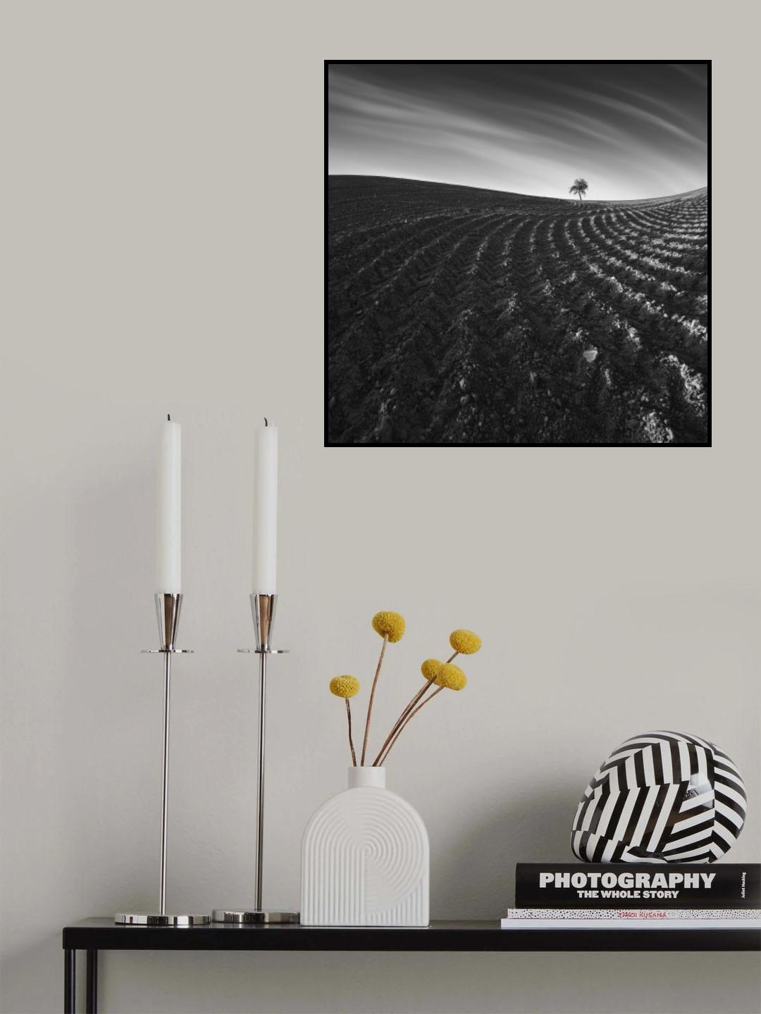 Field lines Poster och Canvastavla