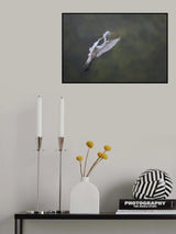 The spring story (6) Poster och Canvastavla
