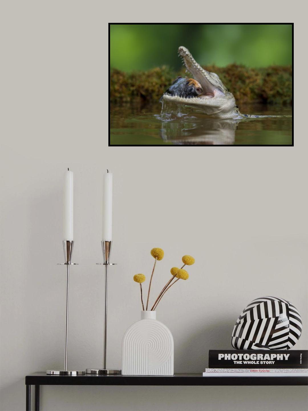 Eat fish Poster och Canvastavla