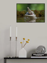 Eat fish Poster och Canvastavla
