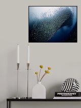Sardines Tornado Poster och Canvastavla