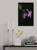 Botanical Series - Purple Flowers Poster och Canvastavla
