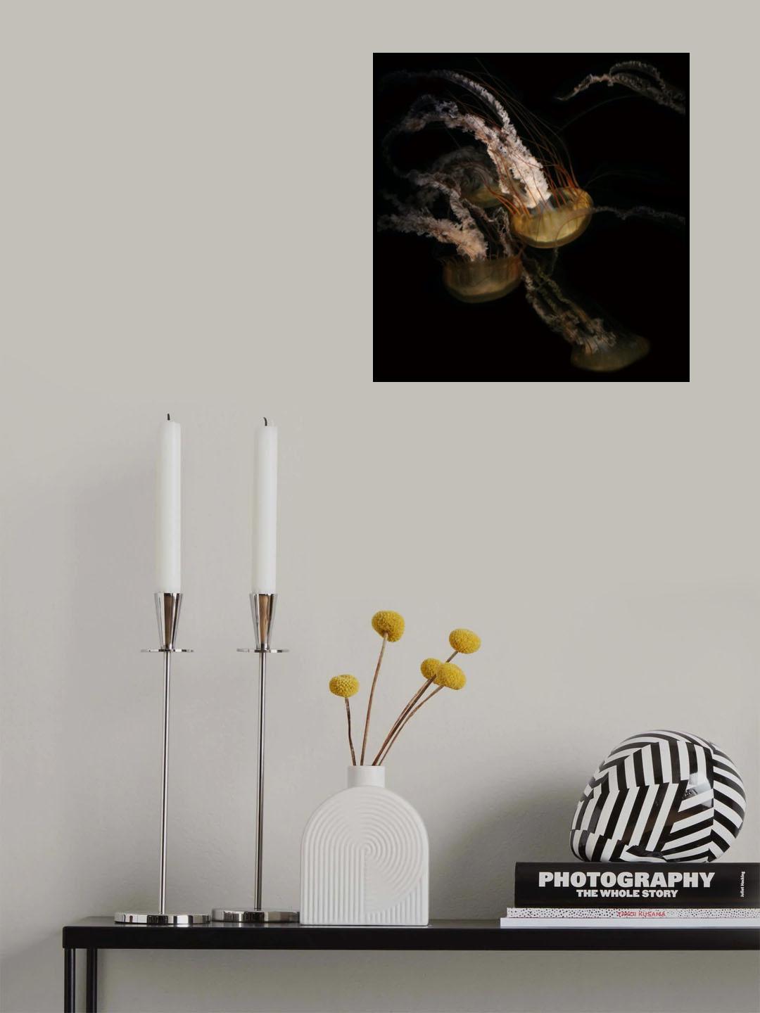 Underwater ballet Poster och Canvastavla