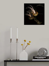 Underwater ballet Poster och Canvastavla