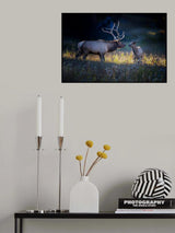 Father and calf Poster och Canvastavla