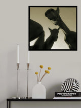 Fancy horses Poster och Canvastavla