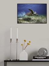 Take off Poster och Canvastavla