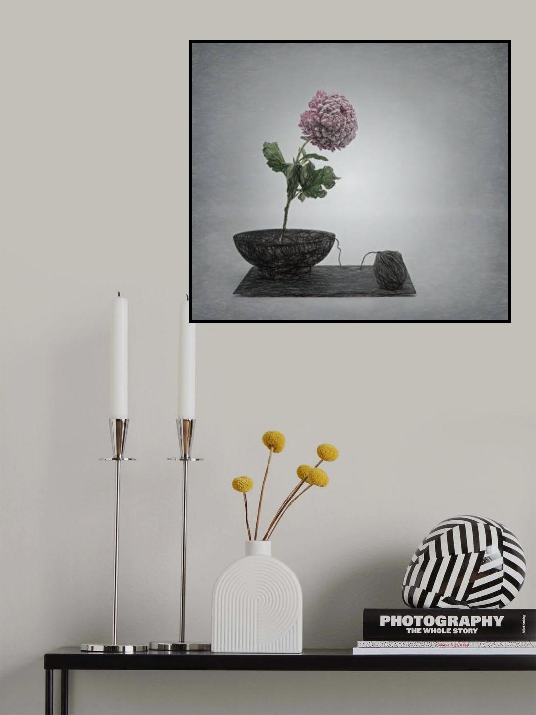 Zen impression with chrysant flower and a twist . Poster och Canvastavla