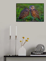 Cute Poster och Canvastavla