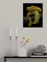 Waiting Poster och Canvastavla