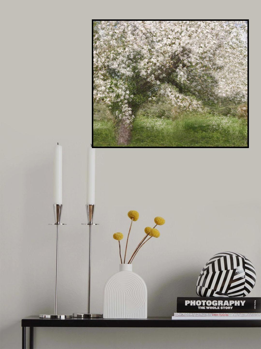 Apple Tree Poster och Canvastavla