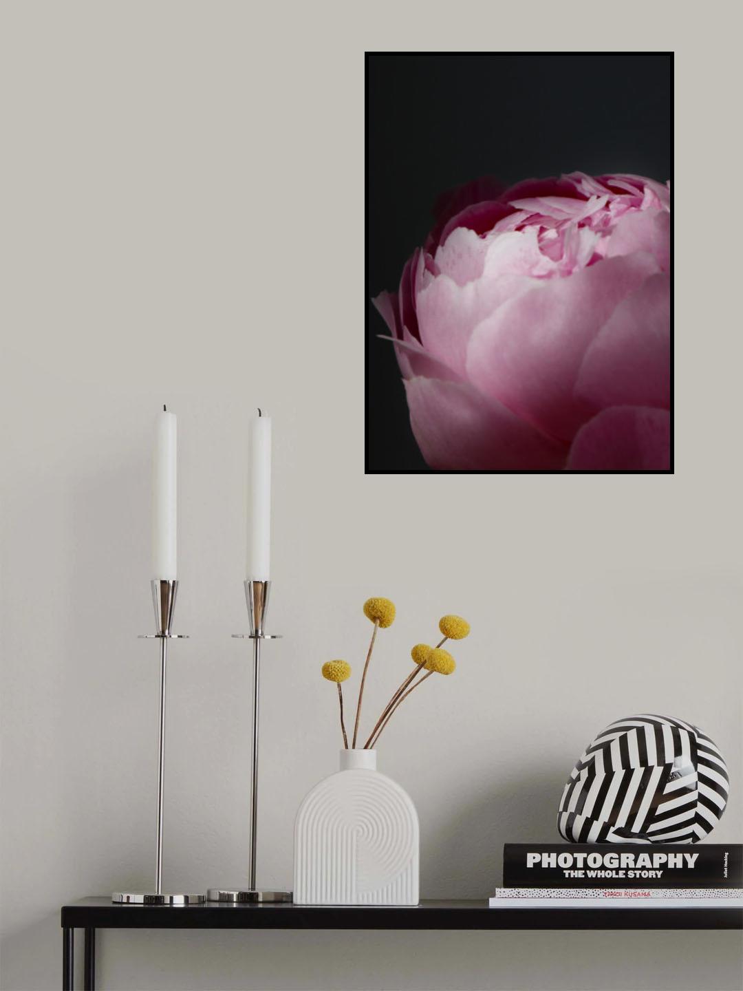 Moody pink peony II Poster och Canvastavla