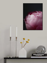 Moody pink peony II Poster och Canvastavla
