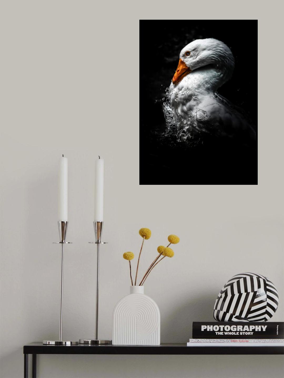 Il brutto anatroccolo Poster och Canvastavla