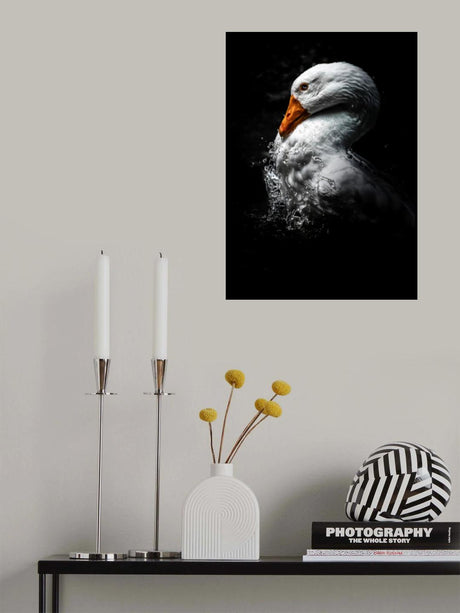 Il brutto anatroccolo Poster och Canvastavla