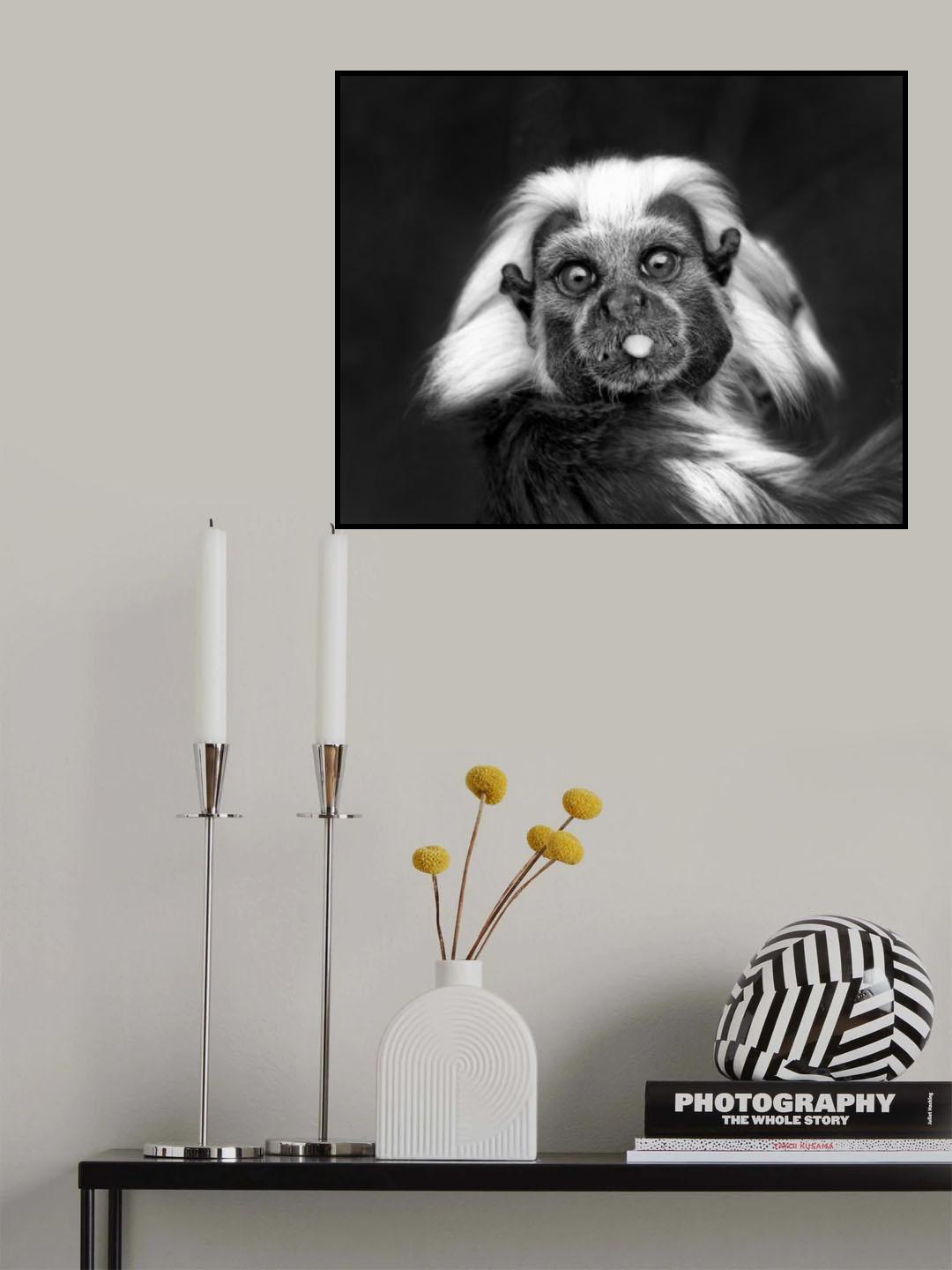 Brrr Poster och Canvastavla