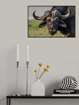 the old fighter Poster och Canvastavla