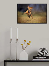 Happy Scooby Poster och Canvastavla