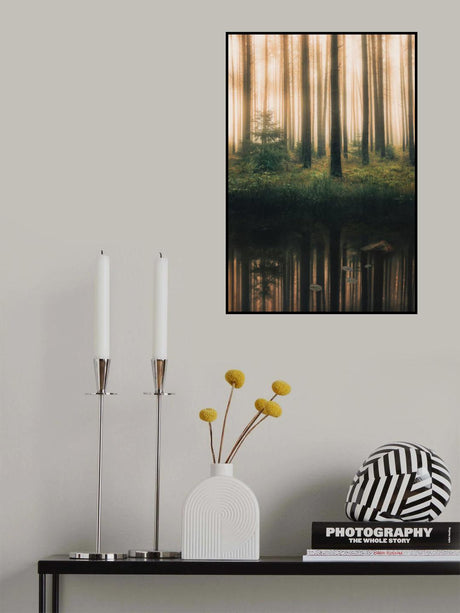 Reflection in the foggy forest Poster och Canvastavla