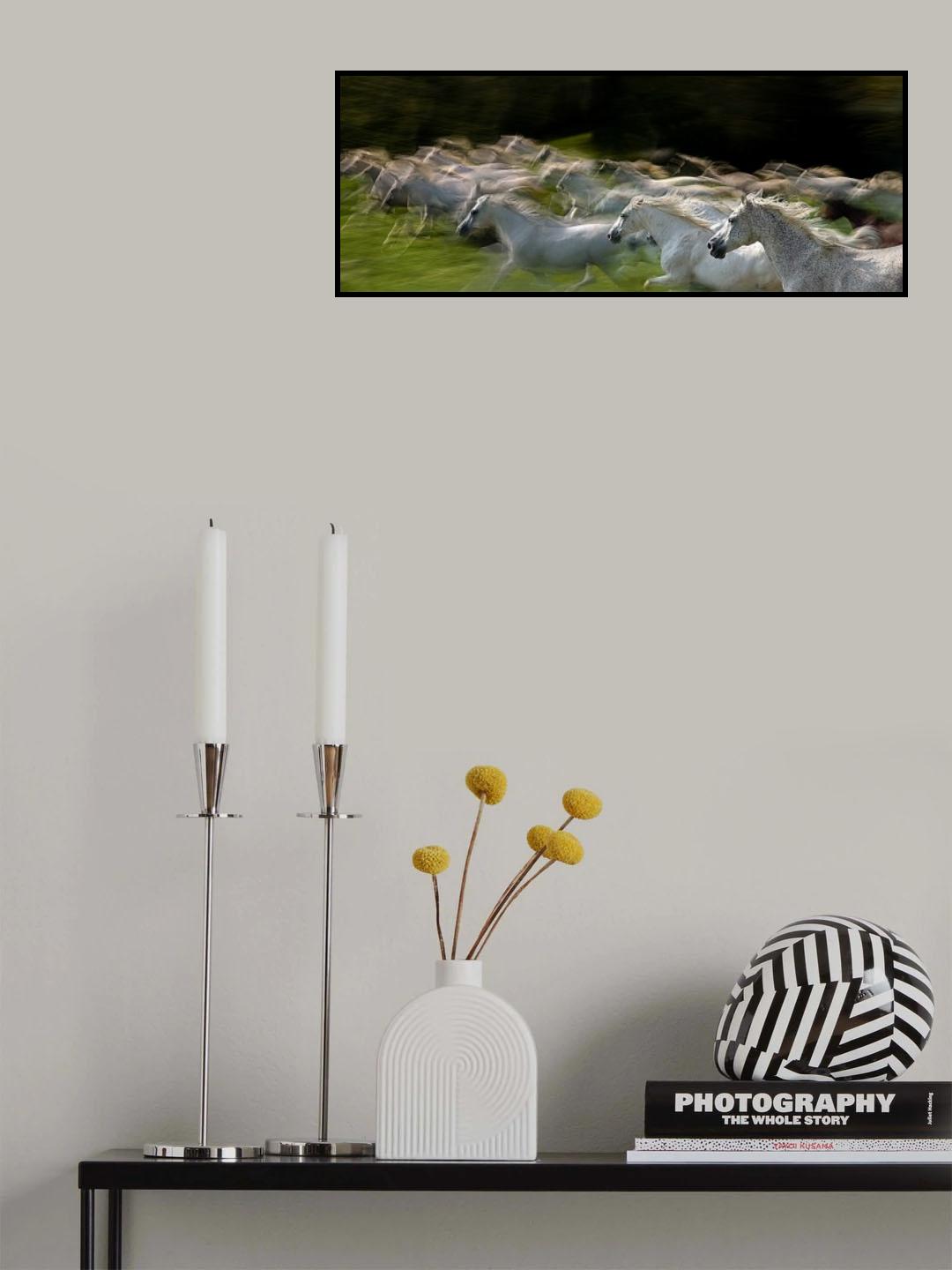 in gallop Poster och Canvastavla