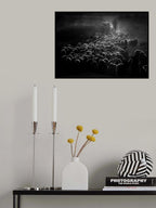 flock of sheep Poster och Canvastavla
