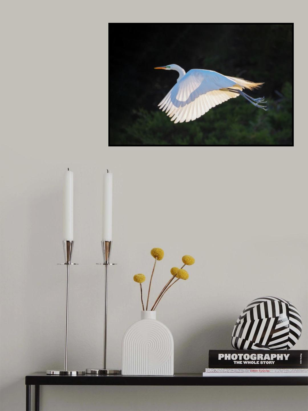 home coming at sunset Poster och Canvastavla