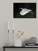 home coming at sunset Poster och Canvastavla